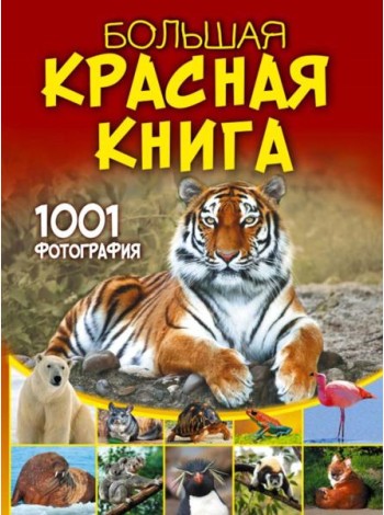Большая Красная книга. 1001 фотография