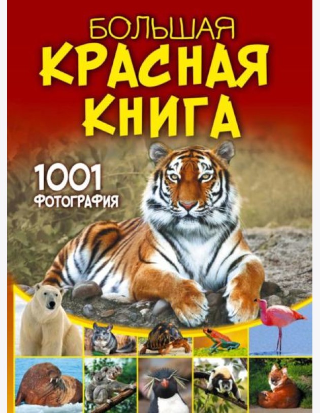 Большая Красная книга. 1001 фотография