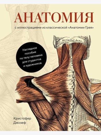 Анатомия. С иллюстрациями из классической 