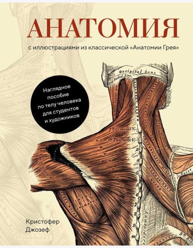 Анатомия. С иллюстрациями из классической 