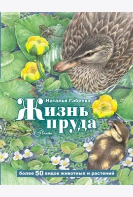 Жизнь пруда