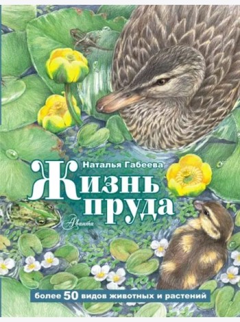 Жизнь пруда