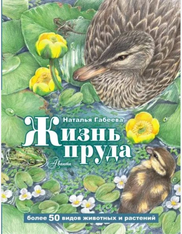 Жизнь пруда