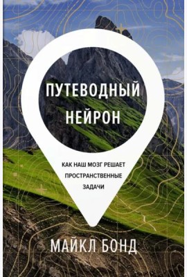 Путеводный нейрон. Как наш мозг решает пространственные задачи
