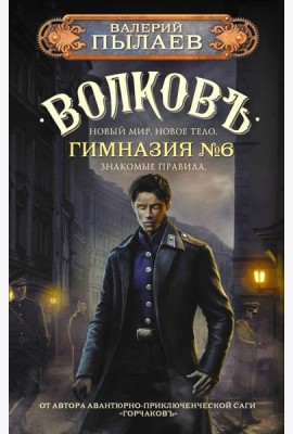 Волковъ. Гимназия №6: фантастический роман