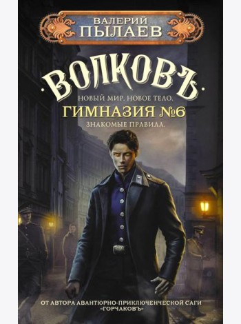 Волковъ. Гимназия №6: фантастический роман