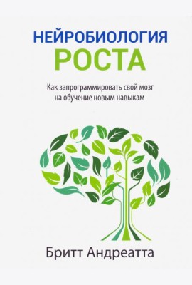 Нейробиология роста: как запрограммировать свой мозг на обучение новым навыкам