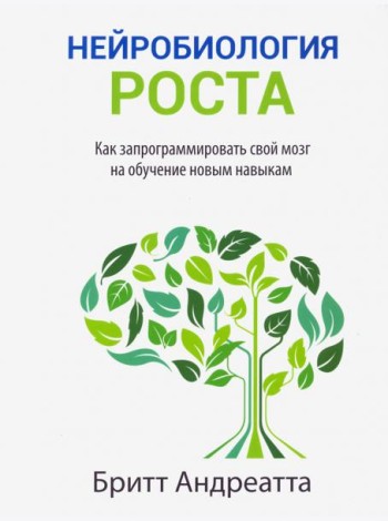 Нейробиология роста: как запрограммировать свой мозг на обучение новым навыкам