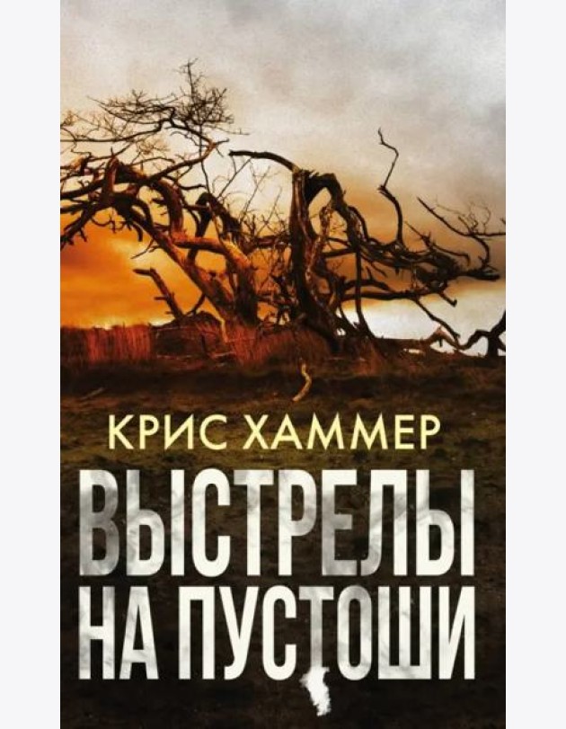 Выстрелы на пустоши
