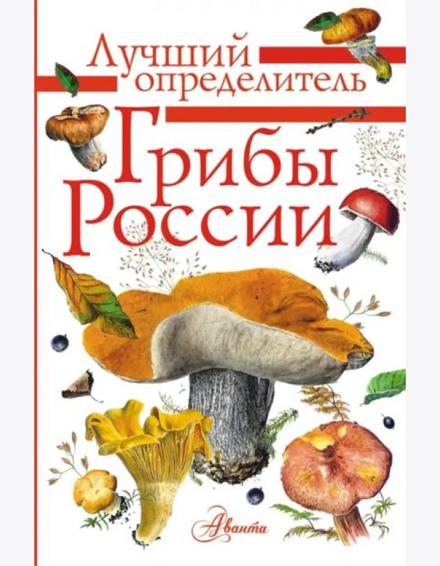 Грибы России