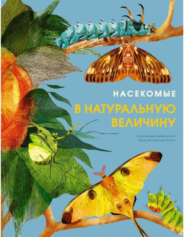 Насекомые в натуральную величину