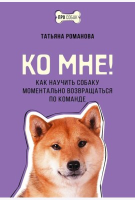 Ко мне! Как научить собаку моментально возвращаться по команде