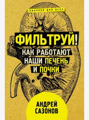 Фильтруй! Как работают наши печень и почки