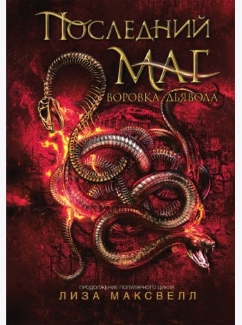Последний маг. 2. Воровка дьявола