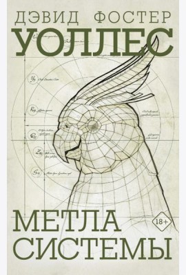 Метла системы