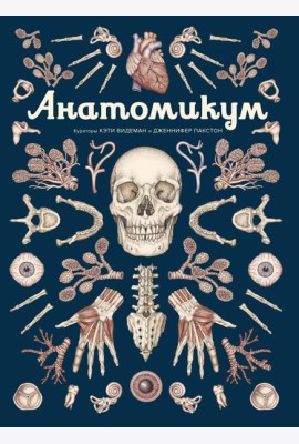 Анатомикум