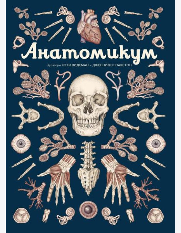 Анатомикум