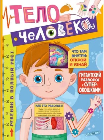 Тело человека