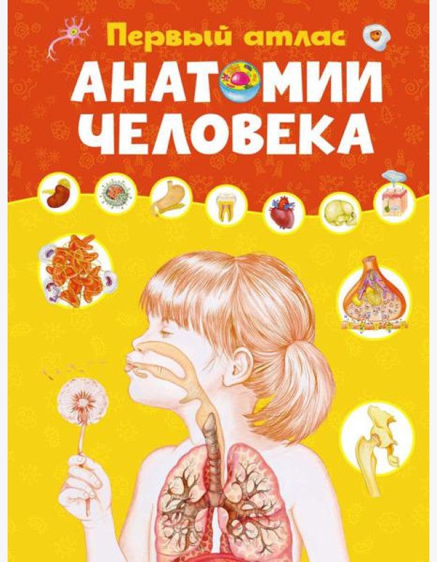 Первый атлас анатомии человека