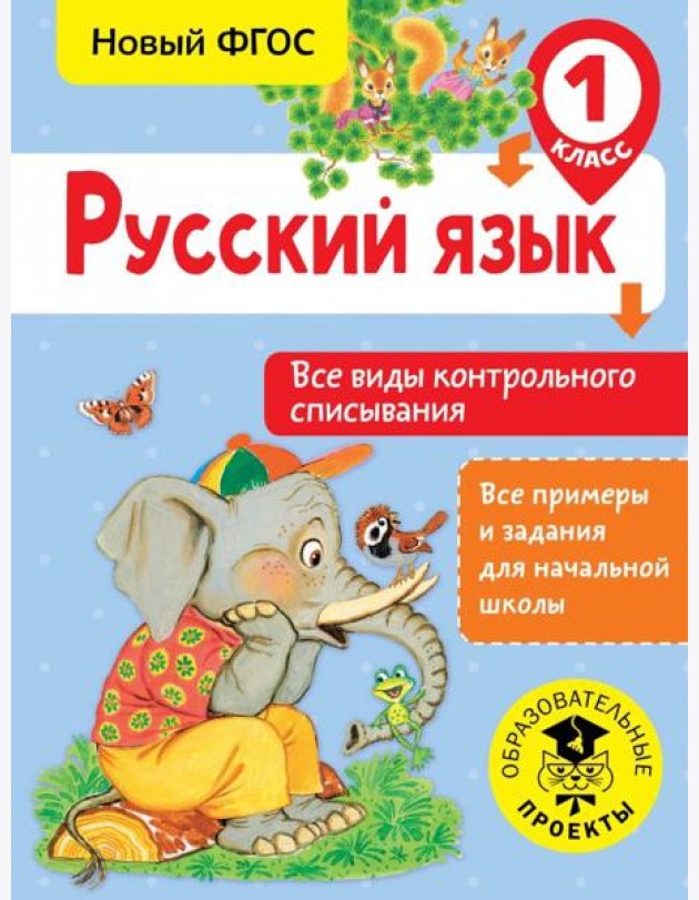 Русский язык. 1 класс. Все виды контрольного списывания