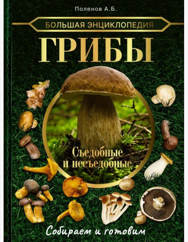 Большая энциклопедия. Грибы. Съедобные и несъедобные. Собираем и готовим