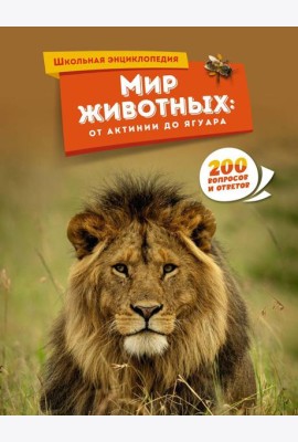 Мир животных: от актинии до ягуара