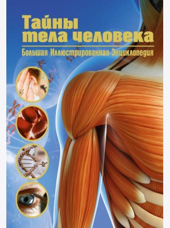 Тайны тела человека. Большая иллюстрированная энциклопедия