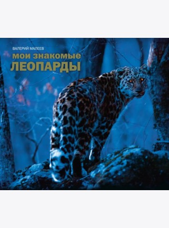 Мои знакомые леопарды