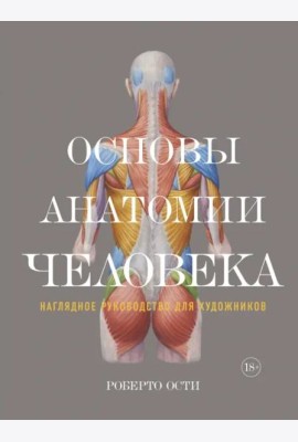 Основы анатомии человека: Наглядное руководство для художников