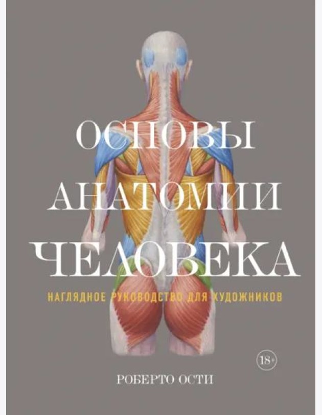 Основы анатомии человека: Наглядное руководство для художников