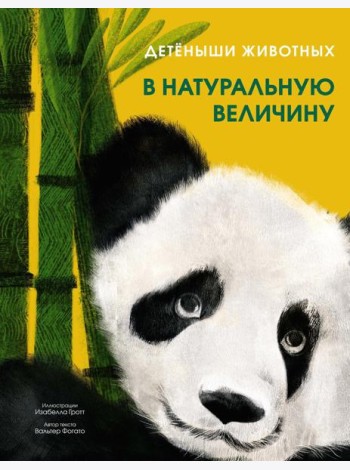 Детеныши животных в натуральную величину
