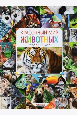 Красочный мир животных