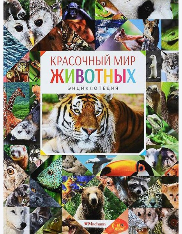 Красочный мир животных