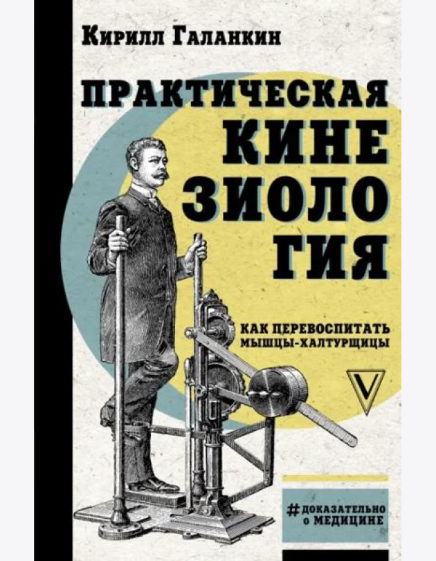 Практическая кинезиология. Как перевоспитать мышцы-халтурщицы
