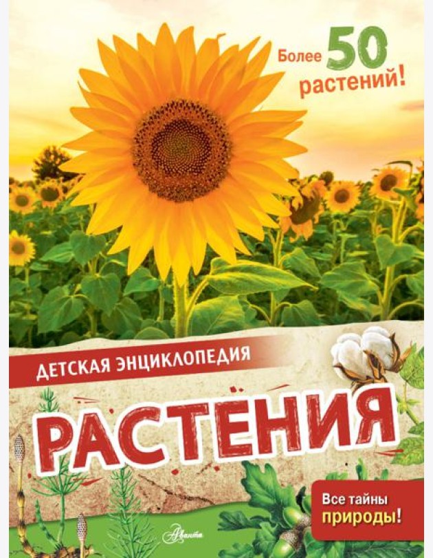 Растения