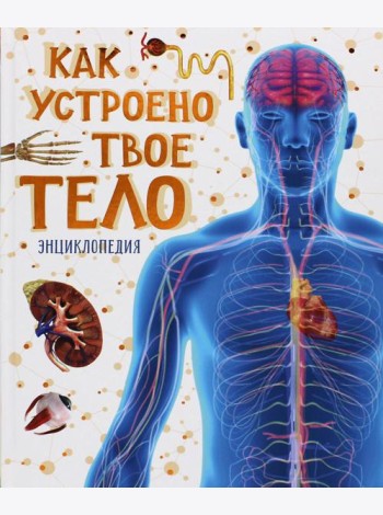 Как устроено твое тело. Энциклопедия
