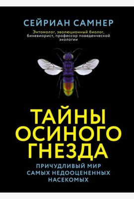 Тайны осиного гнезда. Причудливый мир самых недооцененных насекомых