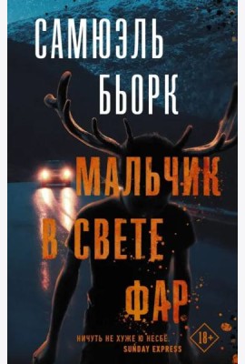 Мальчик в свете фар