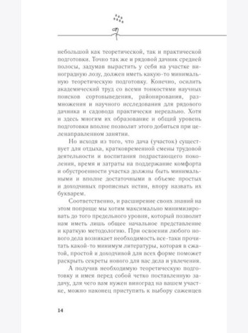 Садовые ягоды. Виноград, малина, смородина и другие кустарники