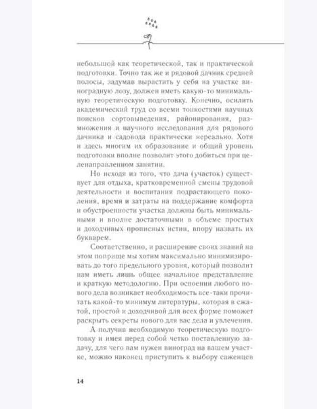 Садовые ягоды. Виноград, малина, смородина и другие кустарники