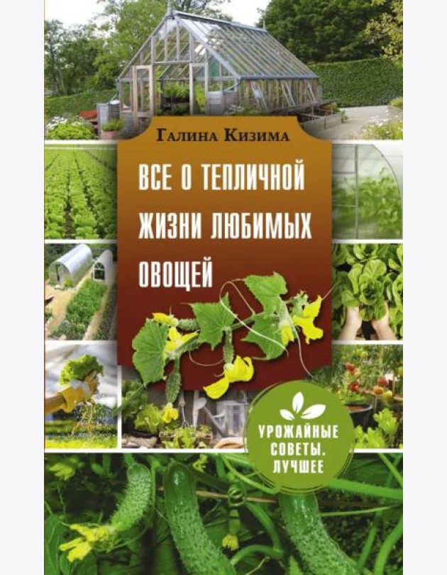 Все о тепличной жизни любимых овощей
