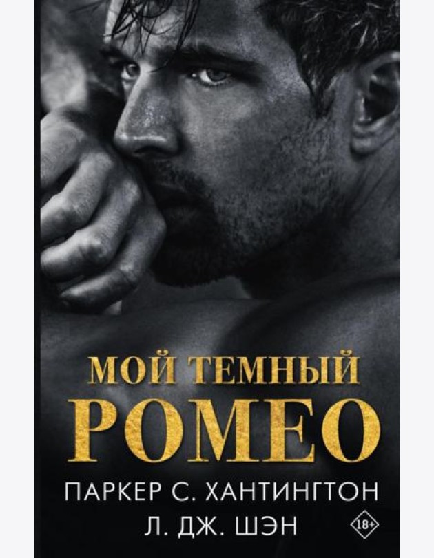 Мой темный Ромео: роман