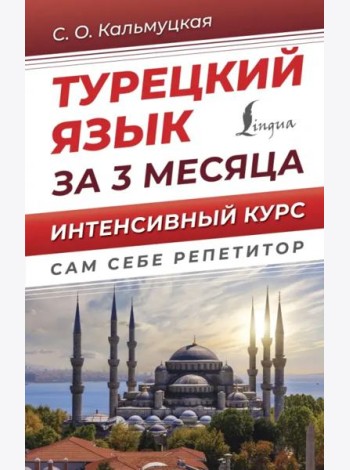 Турецкий язык за 3 месяца. Интенсивный курс