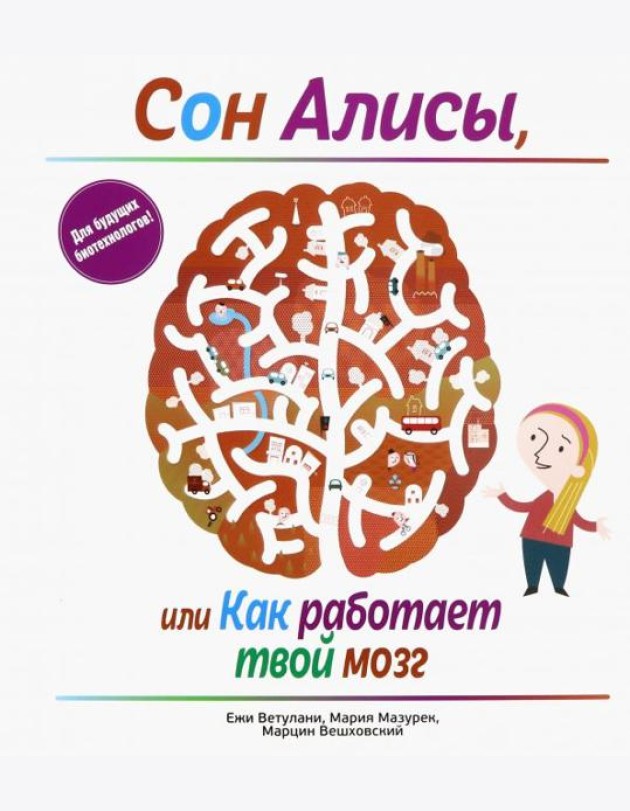 Сон Алисы, или Как работает твой мозг