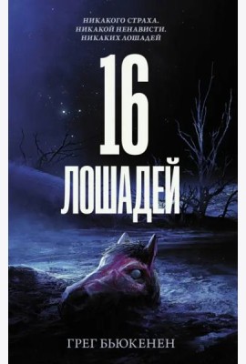 16 лошадей
