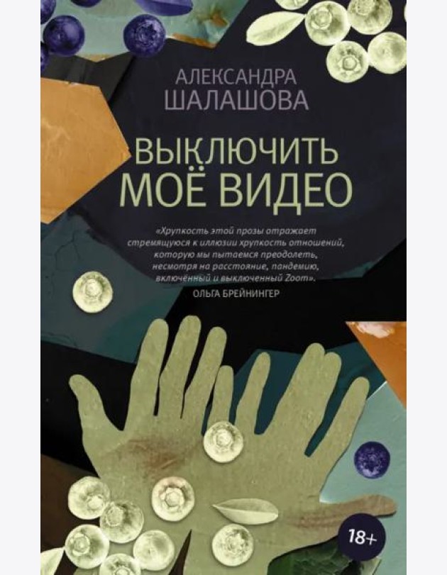 Выключить моё видео
