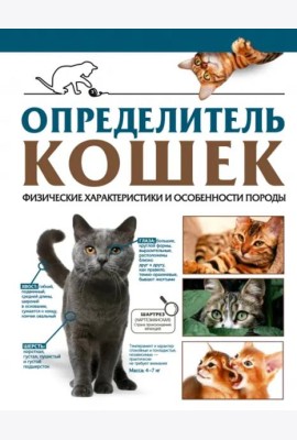 Определитель кошек. Физические характеристики и особенности породы