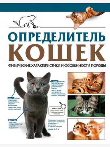 Определитель кошек. Физические характеристики и особенности породы