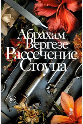 Рассечение Стоуна: роман