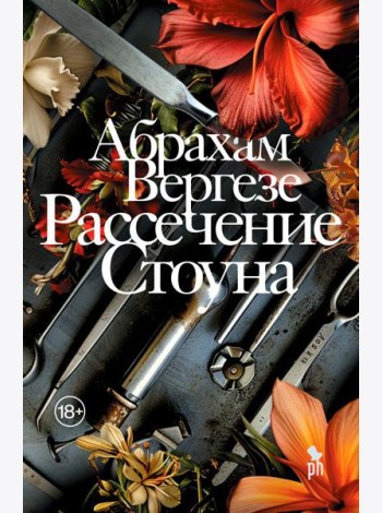 Рассечение Стоуна: роман